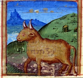 Tyrens tegn. Italiensk horoskop, midten af 1400-tallet.