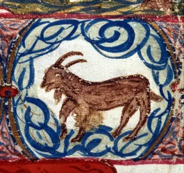 Stenbukkens tegn. Italiensk horoskop fra midten af det 15. århundrede.