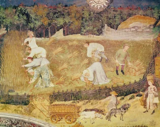 August måned, detalje af høsten, ca. 1400 (fresko)