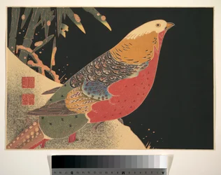 Golden Pheasant in the Snow, ca. 1900 (træsnit, blæk og farve på papir)