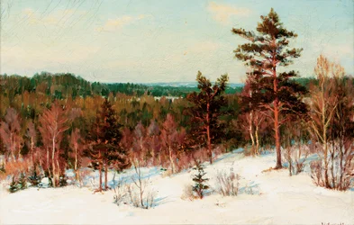 Vinter - Udsigt over skoven