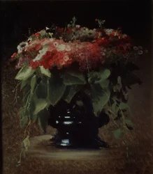 Flot blomster. Phloxes, 1884