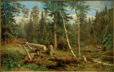 I.I.Shishkin, Træskærerarbejde