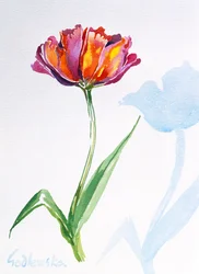 Tulip, 1998 (wc på papir) (se også 124446 & 124448)