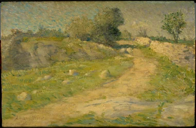 Alléen