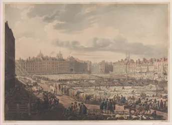 Et fugleperspektiv af Smithfield Market, taget fra Bear & Ragged Staff, januar..., 1. januar 1811.