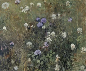 blomstrende kløver