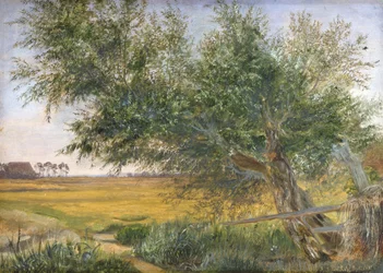 Det gamle træ, 1842 (olie på papir monteret på kort)