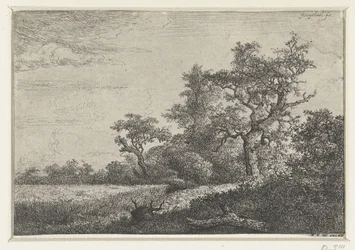 Kornmarken