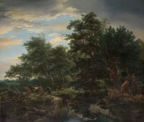 Skovscene