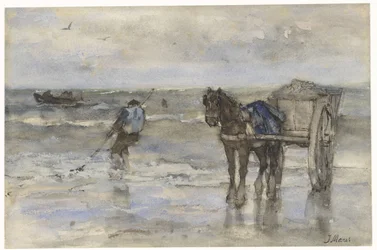 Skalfisker på stranden