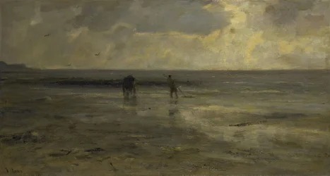 Strand om natten