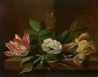 En papegøjetulipan, en rose, en iris og insekter på et træbord