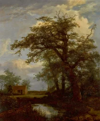Et skovlandskab med et egetræ, en dam og huse bagved.