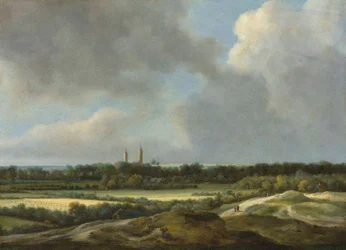 Et vidtstrakt landskab med kornmarker, Heemstede bagved