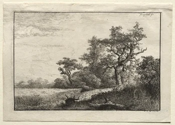 Hvedemarken