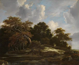 Skovlandskab med harejagt