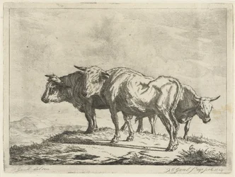 Tre okser