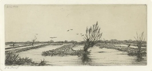 Tørvesø