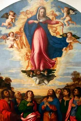 The Assumption of the Virgin, af Palma il Vecchio Serina 1513 (maleri)