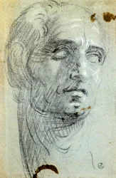 Mandshoved af Jacopo Robusti kendt som Tintoretto (1518-1594), tegning