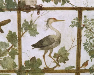 Ibis, fra en fresko af en voliere i Villa Medici, ca. 1576-77