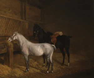 En grå pony og en sort ridehest i en stald