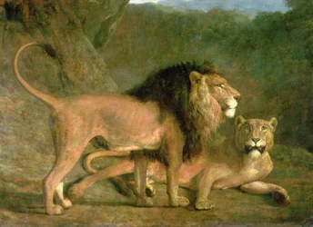 A Lion and a Lioness in a Rocky Valley (olie på lærred)