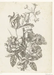 Buket med pæoner, en tulipan og en brodiaea Diverse Fleurs mises en Boucquets (serietitel)