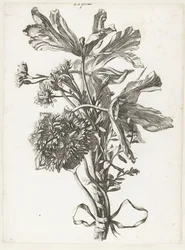 Buket med falmede tulipaner, en anemone og immorteller Diverse Fleurs mises en Boucquets (serietitel)