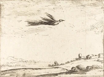 Paradisfugl.
