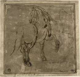 Hest, set tre kvarter bagfra