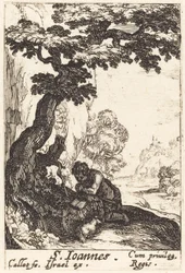 Sankt Johannes Døberen