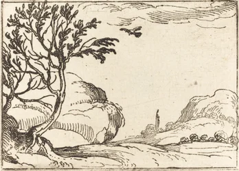 Turteldue, der flyver i ørkenen.