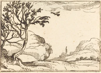 Turteldue, der flyver i ørkenen