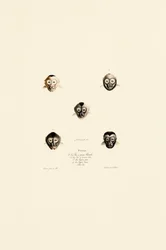 Sammenlignende ansigter hos forskellige abearter