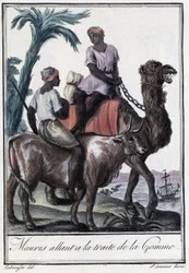 Maurere på vej til handel med gummi - i »Rejsernes encyklopædi« af Grasset St Sauveur, udg. 1796