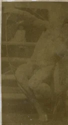 Studie af en mandlig nøgenmodel siddende på et trin, set forfra med et reb og sløjfe på skødet, i Jacques de Lalaings studie