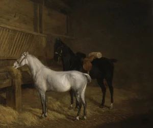 En grå pony og en sort stridshest i en stald