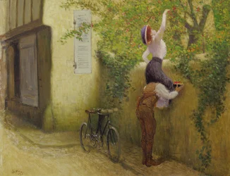 Indsamling af blommer