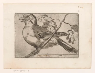 Gaai Gaio (titel på objekt) Vogels (serietitel)