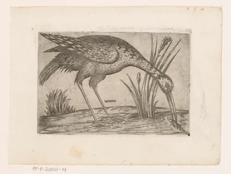 Vogel Tartena (titel på objekt) Vogels (serietitel)