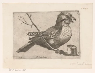 Jay (Garrulus glandarius) Giandara (titel på objekt) Fugle (serietitel)