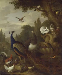 Påfugl, påfuglehøne, papegøjer, kanariefugl og andre fugle i en park, ca. 1708-10