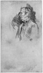 Lord Wolseley, 19. århundrede 1904.