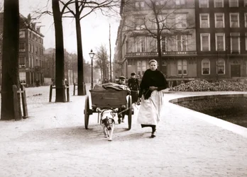 Kvinde med hundevogn, Rotterdam, 1898.