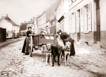 Kvinder og hundevogn, Antwerpen, 1898