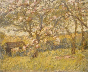 Apple Blossom (olie på lærred)