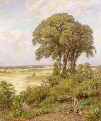 Landskab i Sussex