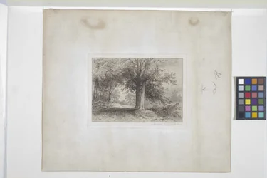 Landskab (ætsning, chine collé)